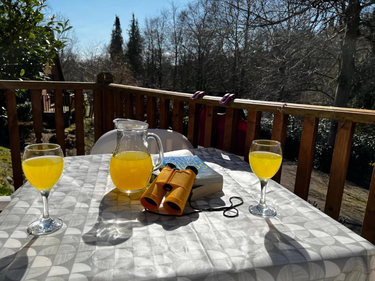 Ericht Holiday Lodges Blairgowrie and Rattray Luaran gambar